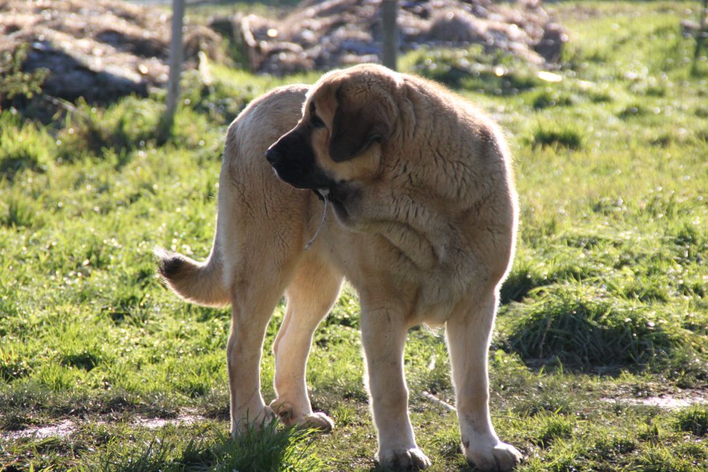 Barbara de la reguera