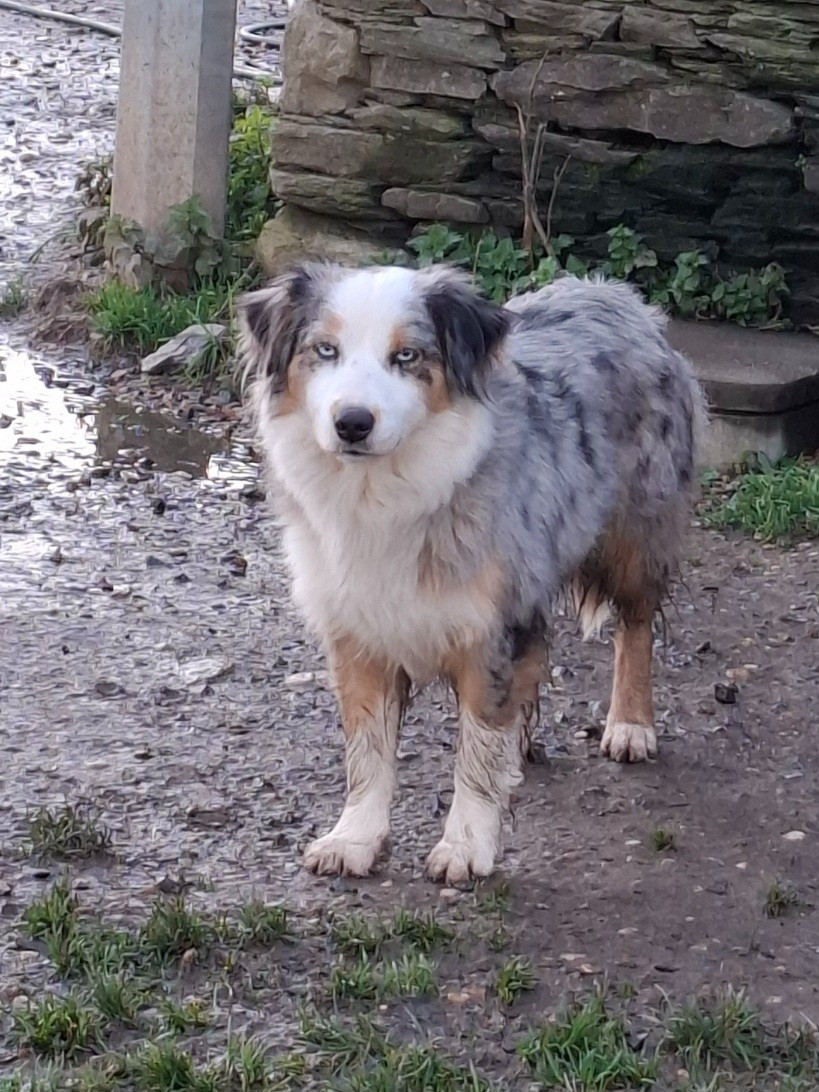 Velouza de la bande à Gro