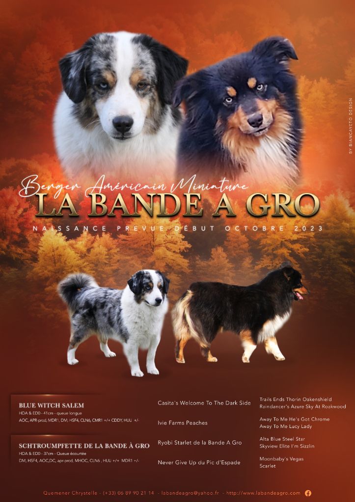 de la bande à Gro - Schtroumpfette se prépare...