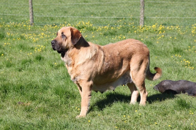 de la bande à Gro - GOODIE championne de France !