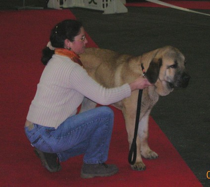 expos 2010