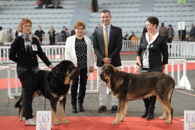Nationale d'élevage 2015